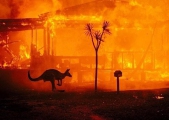 Lửa: chia sẻ nỗi đau “cháy rừng” của nước Úc