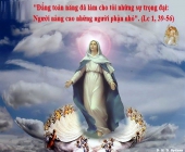 Thứ Hai Tuần 20 Thường Niên - Lễ Đức Maria Hồn Xác Lên Trời