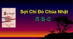 SOI CHI DO CN   ABC