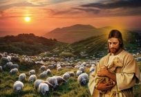 "Chết vì đàn chiên" (Bài suy niệm Chúa nhật 4 Phục Sinh của Đức TGM Giuse Vũ Văn Thiên)