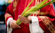 Sáu điều tín hữu nên biết về Chúa Nhật Lễ Lá